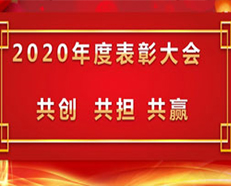 2020安的电子年度表彰大会顺利召开 ---“共创，共担，共赢”主题演讲